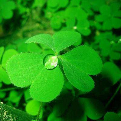 这皇帝抛弃后宫三千佳丽竟实行一夫一妻制