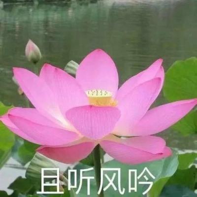 教育部:适时研究建立统一的家庭经济困难儿童等群体资助政策