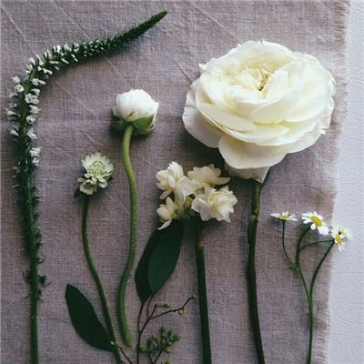 盛世莲开·共谱新篇丨澳门大学校长宋永华携师生：弘扬爱国爱澳精神 为澳门教育事业贡献力量