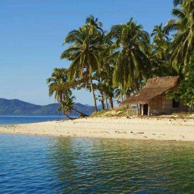 秋霞影视在线截图