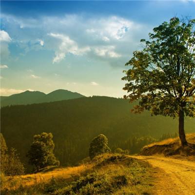 久产久射久精国久品入口