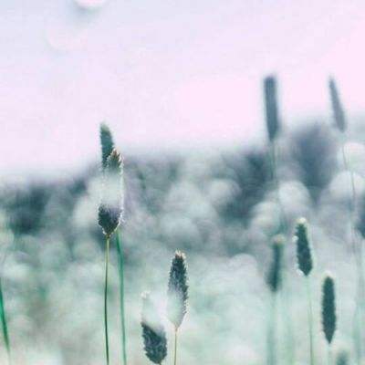 新华网评:青春之美无需太多“修整”