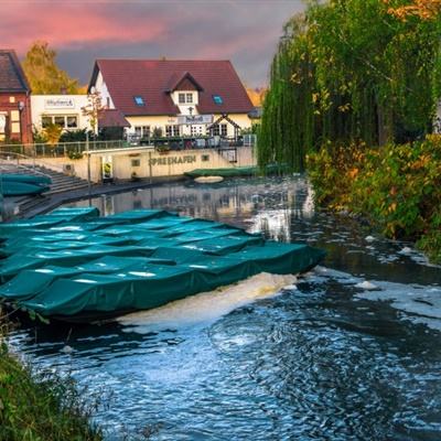 麦子交换5免费完整版