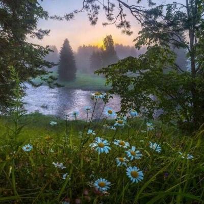 培训机构改变培训地点,消费者有权解除合同吗?(以案说法)