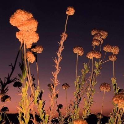 东海万艘渔船开捕!“2025护航开渔行动”启动