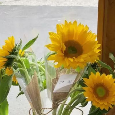 解好“执法与服务”“力度与温度”关系式!浦东创新多元监管方式,构建执法新生态