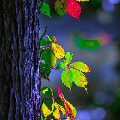 美前国安局局长污蔑:我们有漏洞,被中国逮到了