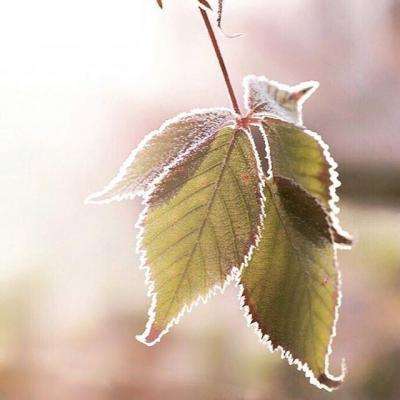 18款禁用看黄a在线进入在线观看