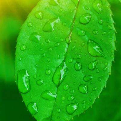 你得的重疾，不是合同约定的重疾——重疾险投保容易理赔难