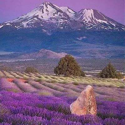 中青视评丨一份“烟火气”,旅途暖人心