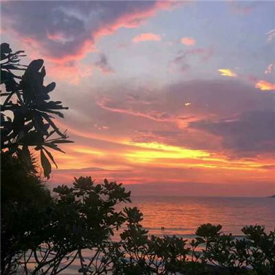 镜观·回响｜筑牢就业“压舱石” 守护群众幸福感