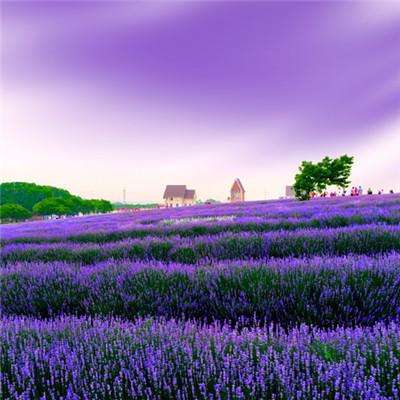 “T”型沿河路口3天坠落2辆车，网友提醒规划是否合理？沿河县交通局：事发道路去年才开通