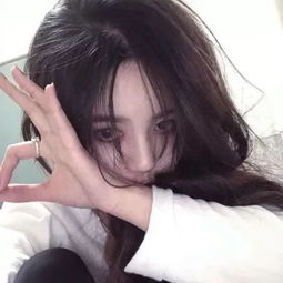 豪盛红木:传承与发展并重