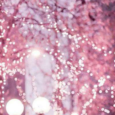 花旗:置富产业信托最坏时刻已过 上调对其预测