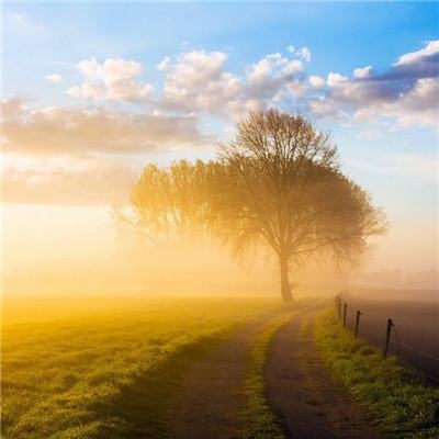 陈瑶：十二载芳华守护高铁“心脏”