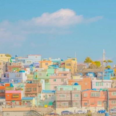 日韩激情视频在线观看